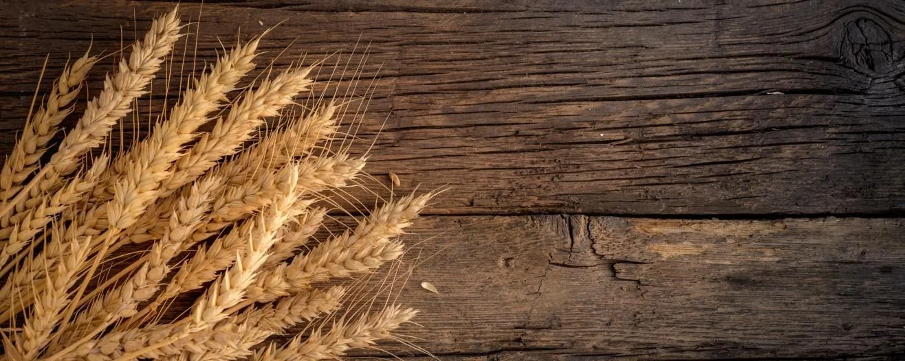 Golden wheat stalks arranged on a rustic wooden table, highlighting their texture and color