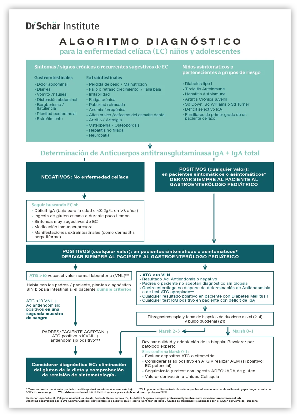 Algoritmo diagnóstico para la enfermedad celíaca en niños y adolescentes, que detalla pruebas de anticuerpos y evaluación de riesgos