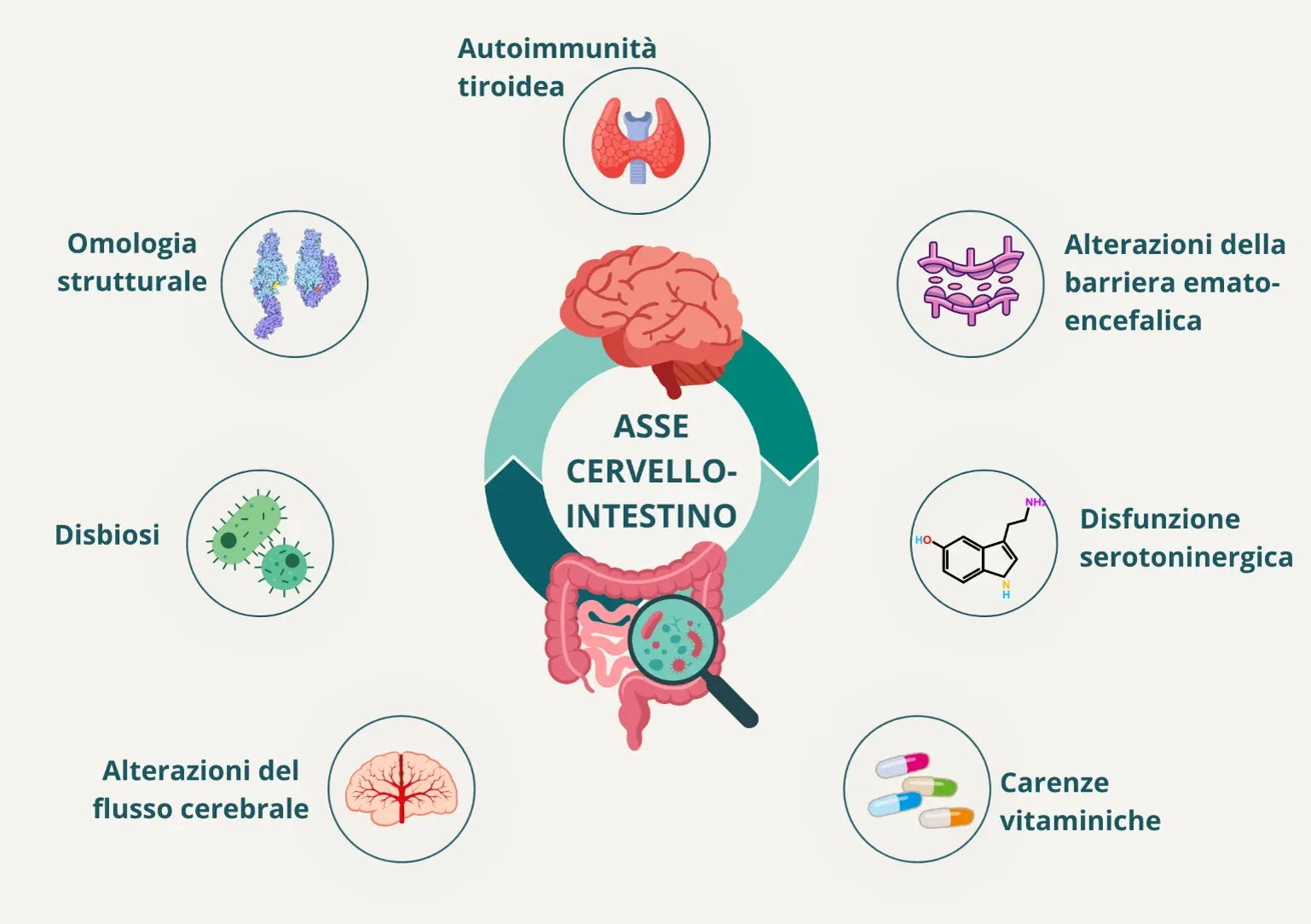 Illustration detailing the brain-gut axis, featuring icons representing various health concepts, such as autoimmunity and dysbiosis