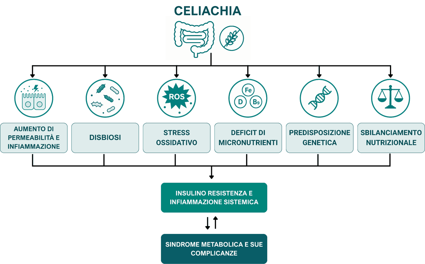 Diagram linking celiac disease to factors like increased permeability, oxidative stress, micronutrient deficiencies, and metabolic syndrome