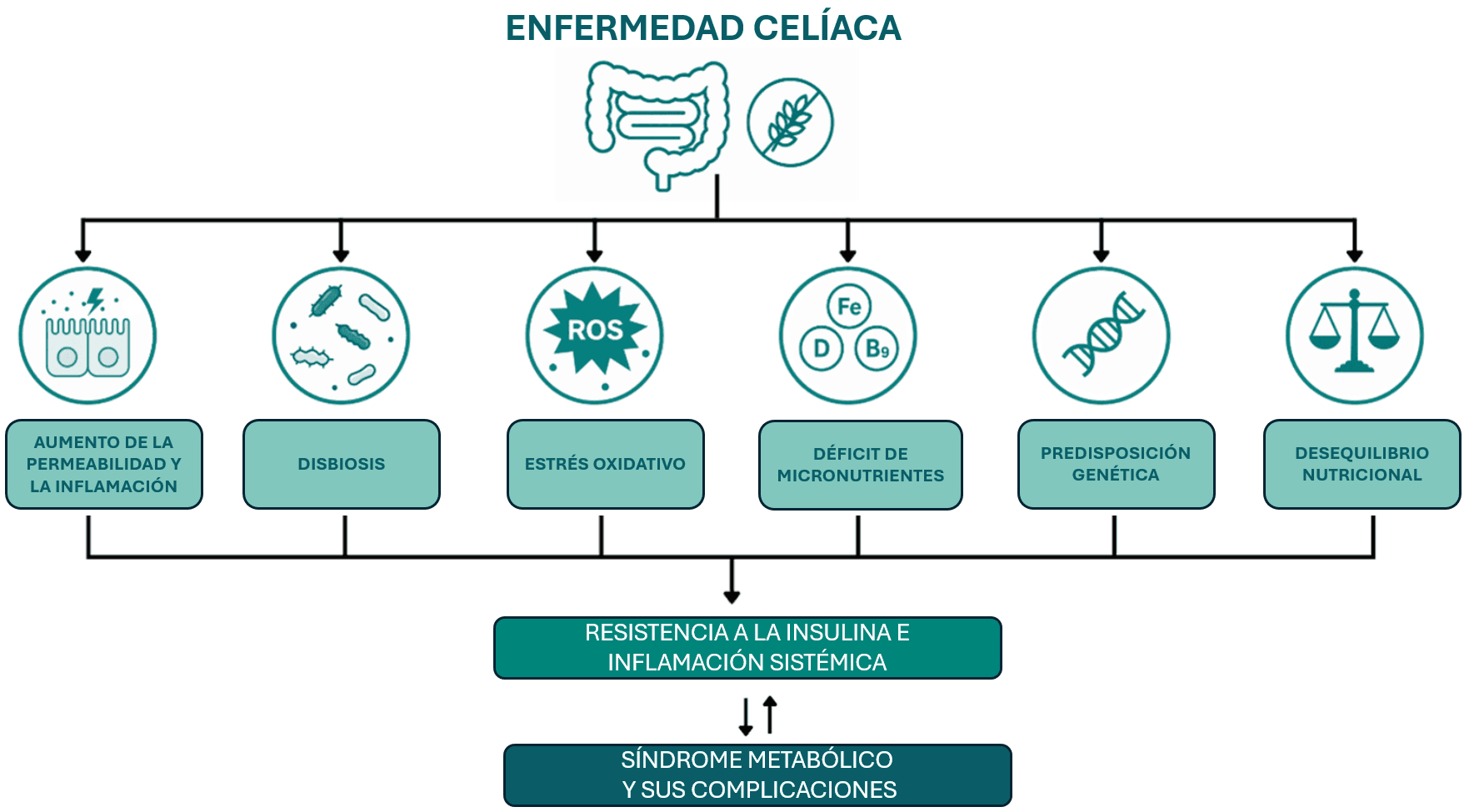 Flowchart outlining the causes and complications of celiac disease, featuring icons, Spanish text, and connecting arrows
