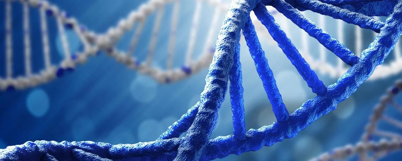 Close-up of a blue DNA double helix against a soft-focus blue background, showcasing detailed strands and beads