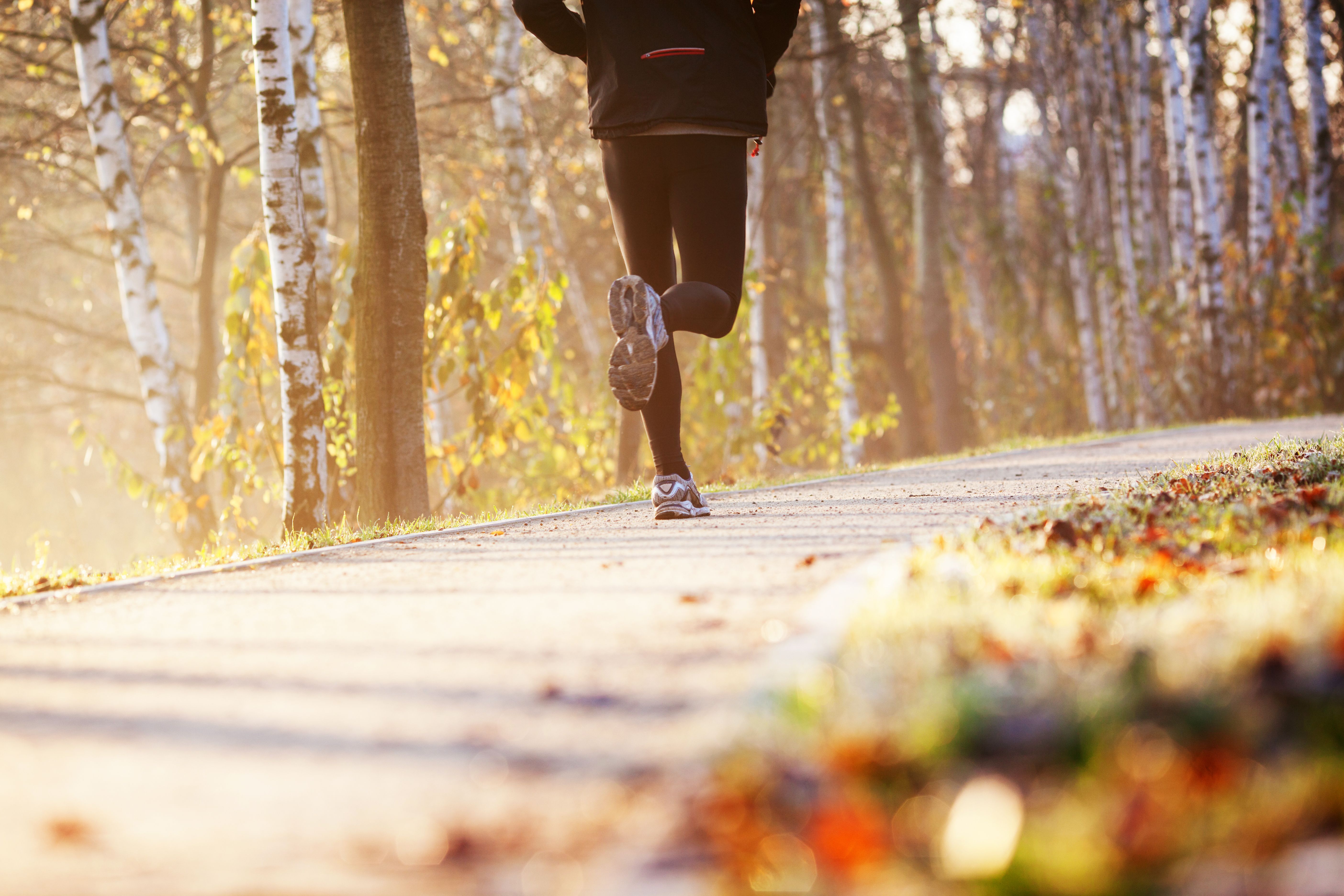 A person jogs along a sunlit path surrounded by birch trees, with autumn leaves scattered on the ground