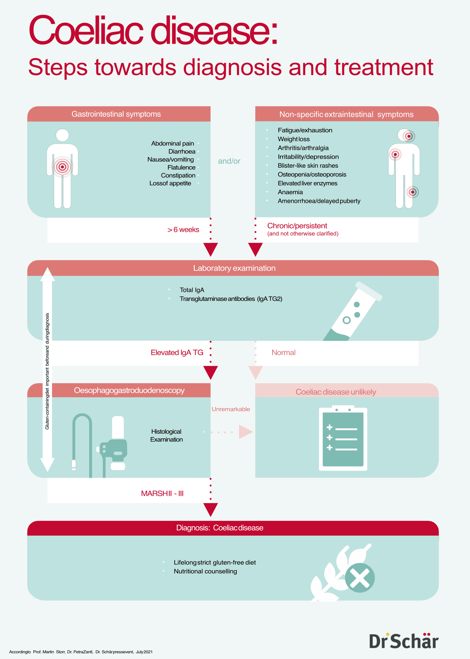 Schritte zur Zölliakie Diagnose
