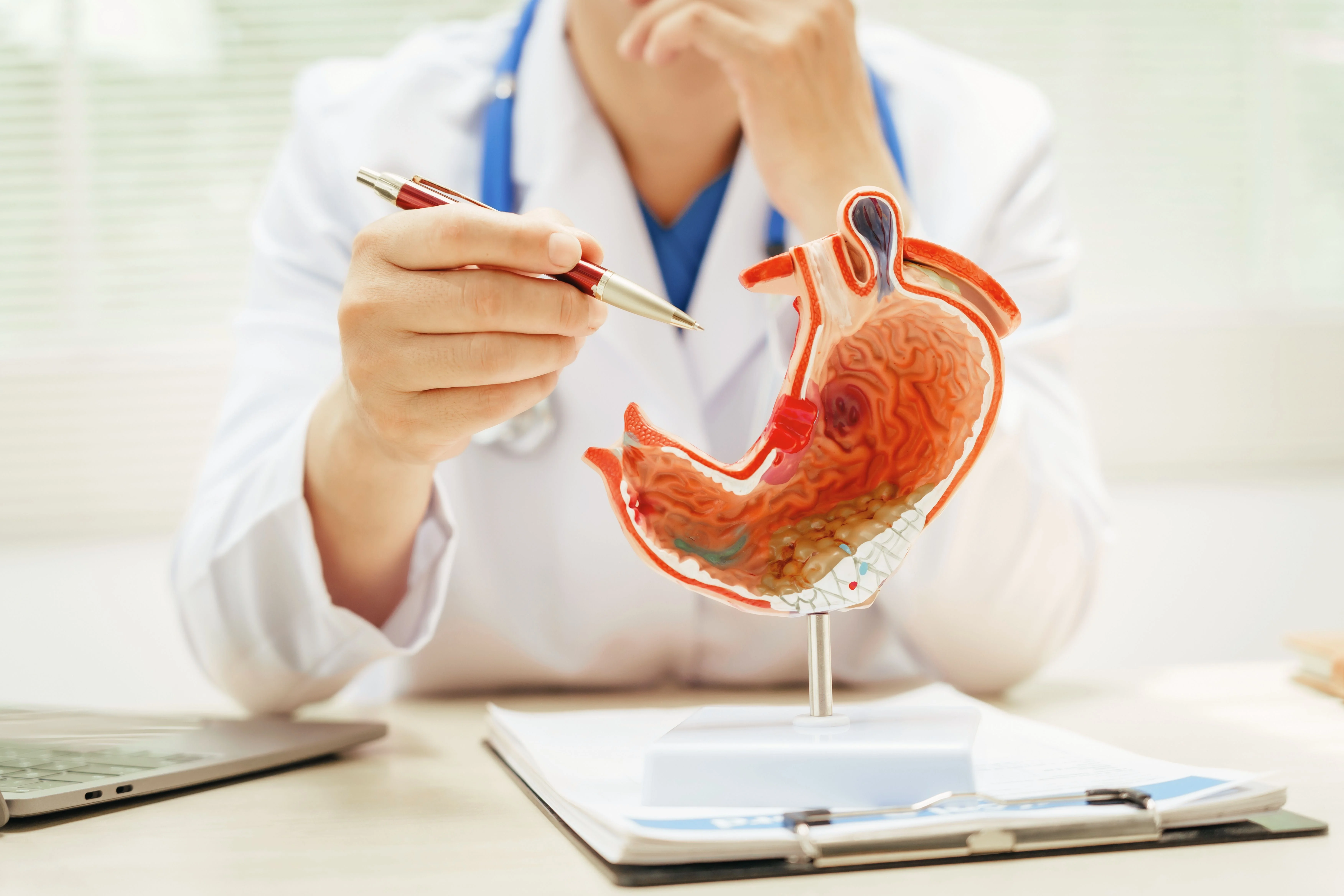 A doctor pointing with a pen at a detailed stomach model, with a laptop and clipboard on the table