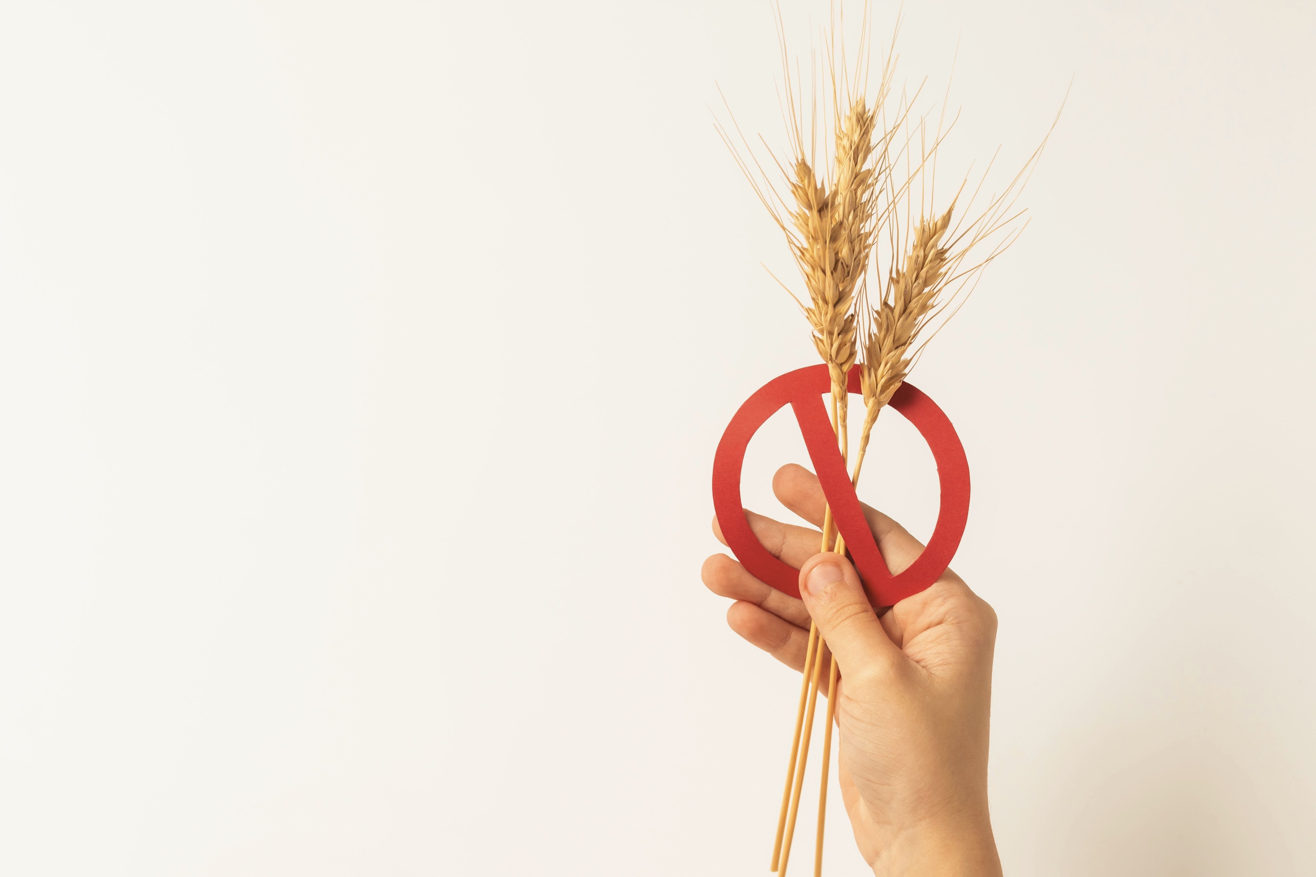 Una mano sostiene un manojo de trigo y un símbolo rojo de 'no' contra un fondo claro