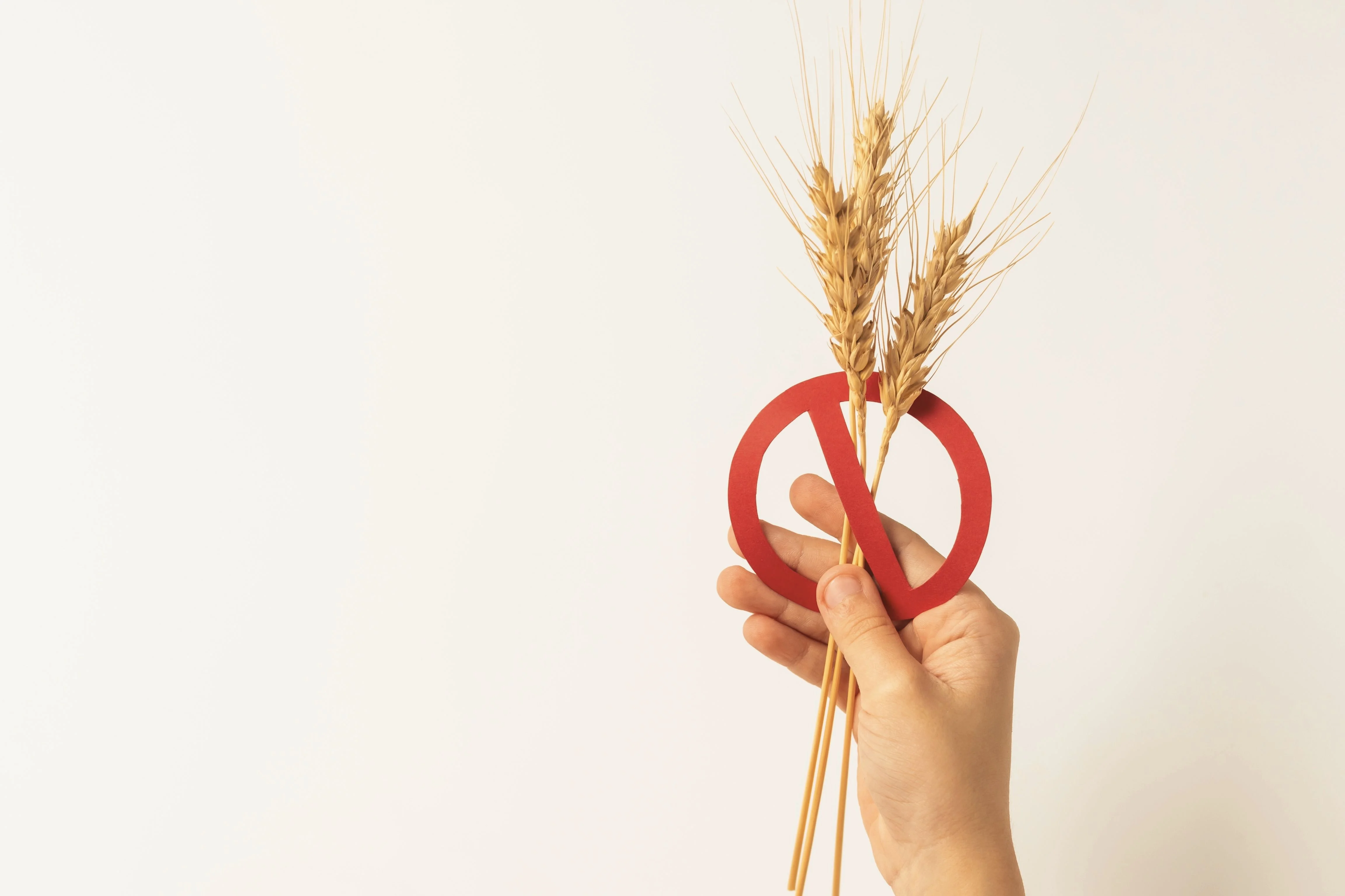 Una mano sostiene un manojo de trigo y un símbolo rojo de 'no' contra un fondo claro
