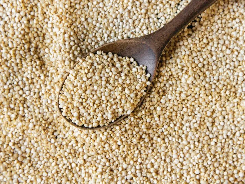 Granos de mijo sin gluten
