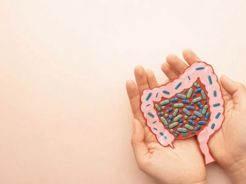 Des mains tenant une illustration colorée des intestins remplis de capsules et de micro-organismes sur un fond clair