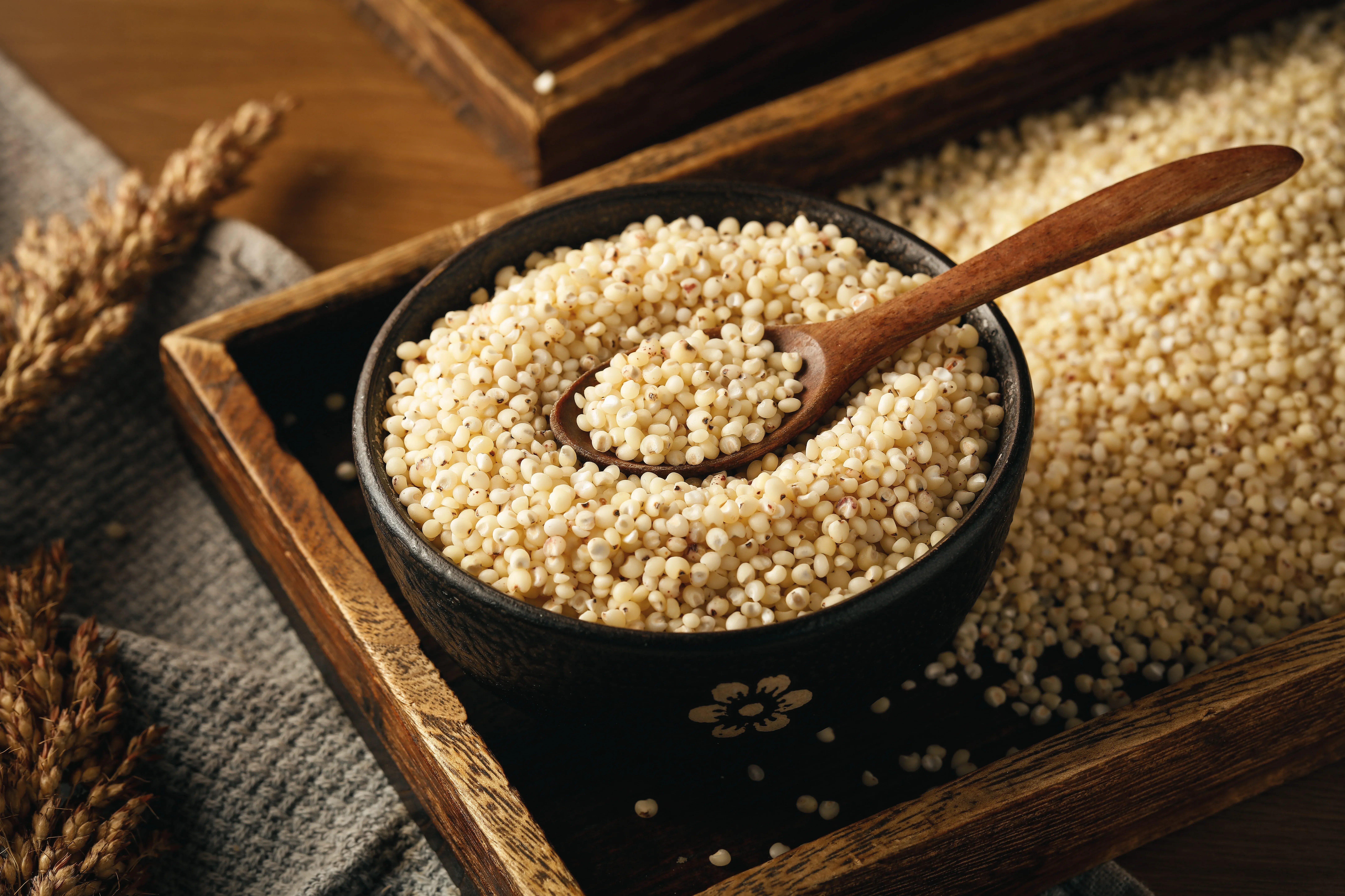 granos de sorgo en un bol