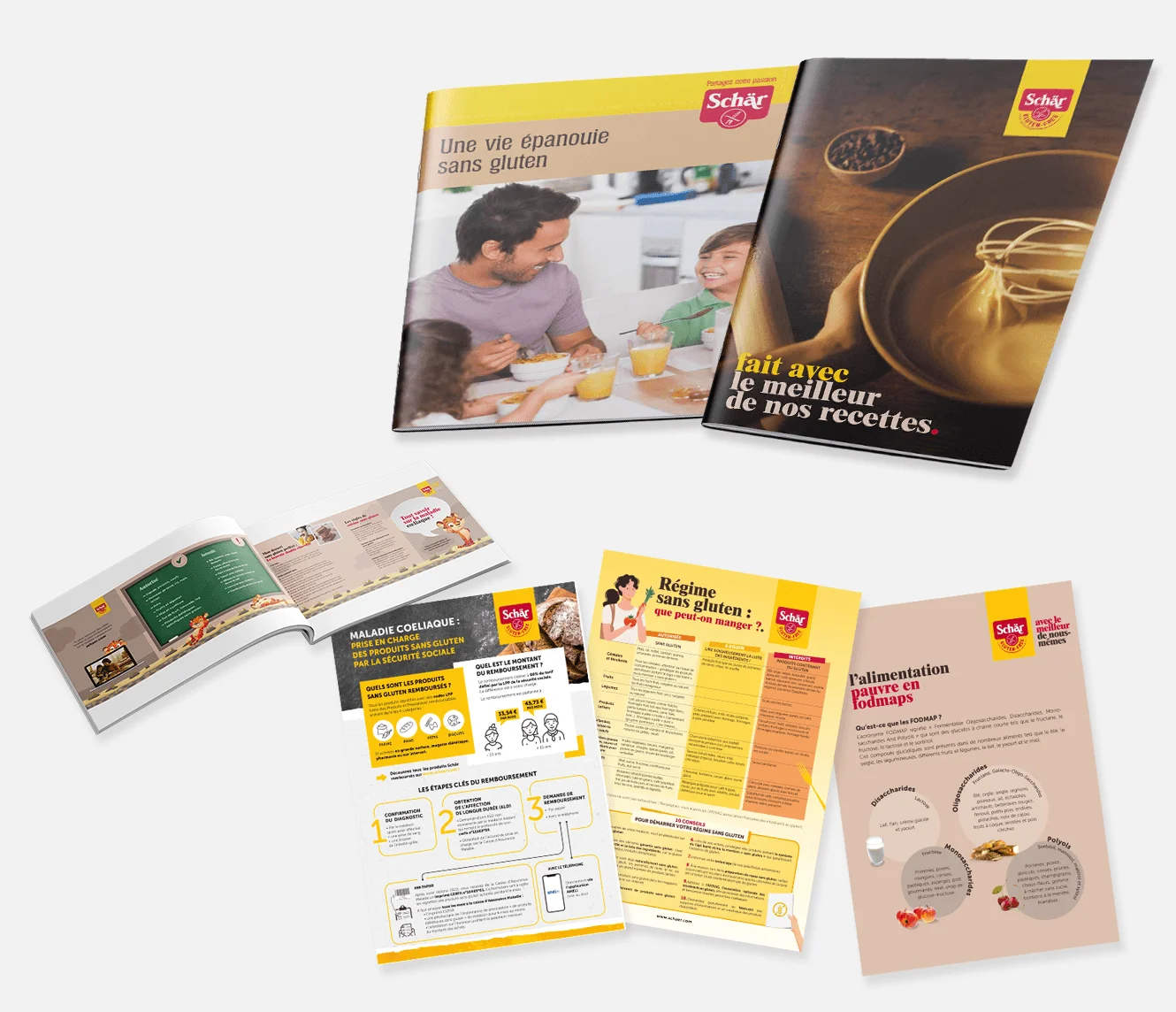 Deux brochures sur la vie sans gluten, présentant des recettes et des conseils diététiques, sur fond blanc