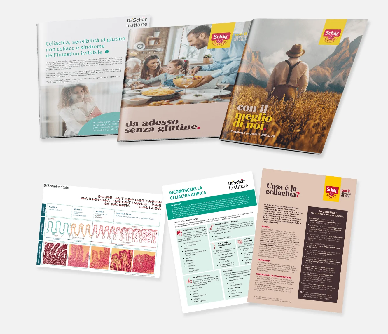 Diverse brochure e foglietti informativi dell'Istituto Dr. Schär su sensibilità al glutine e celiachia